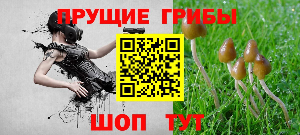 Галлюциногенные грибы MAGIC MUSHROOMS  Псилоцибиновые грибы MAGIC MUSHROOMS  Вход с VPN  Миллерово 